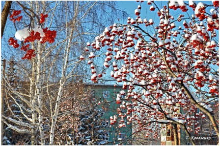 Солнце над замершей рекой